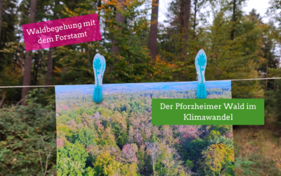 Waldbegehung