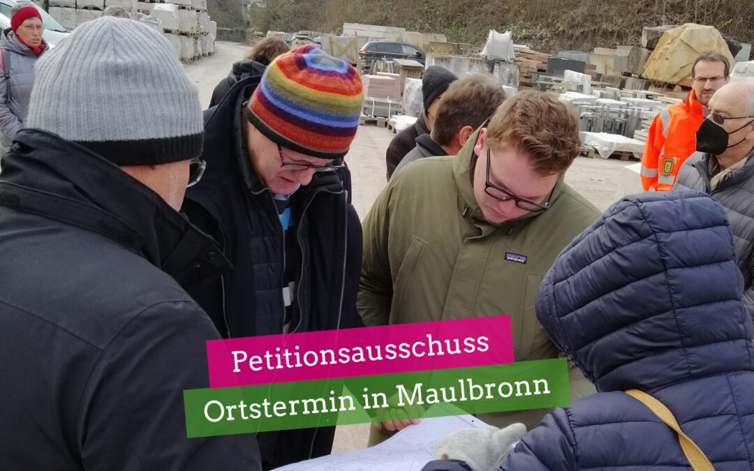 Petitionsausschuss: Ortstermin in Maulbronn