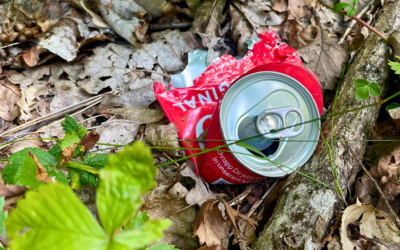 World Cleanup Day: Unsere Verantwortung für eine saubere Erde